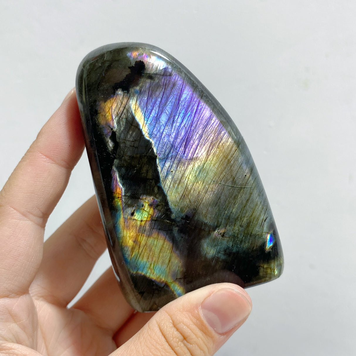 18 Pieces Beautiful Polished Labradorite Free Form