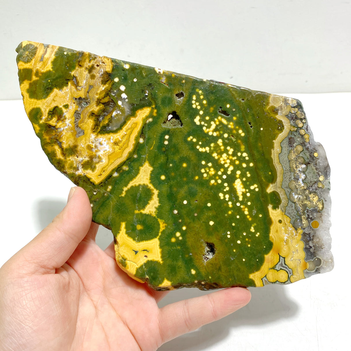 Unique 8th Vein Ocean Jasper Slab With Stand #8