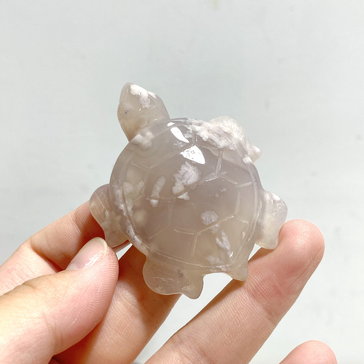 17 Pieces Sakura Flower Agate Sea Turtle Carving