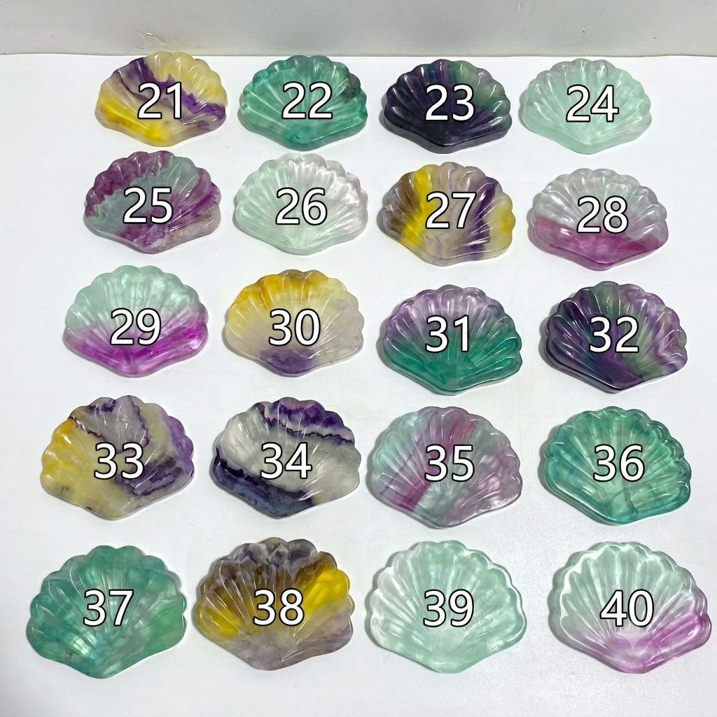 Rainbow Fluorite Shell Wholesale (No.21-40)