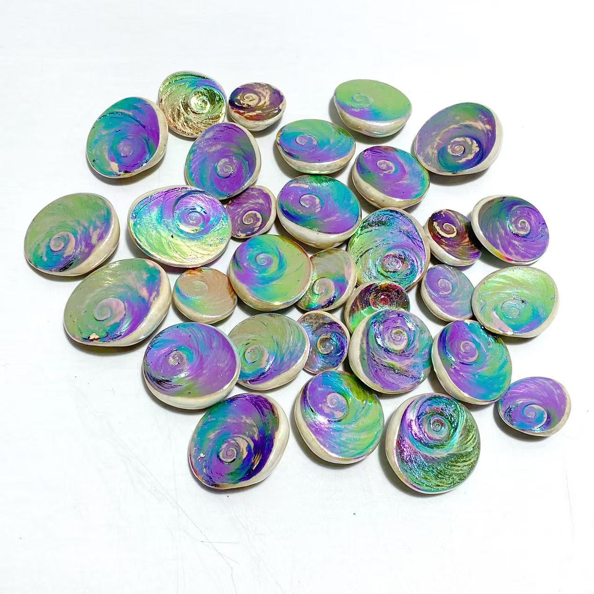 Aura Shell Fossil Wholesale