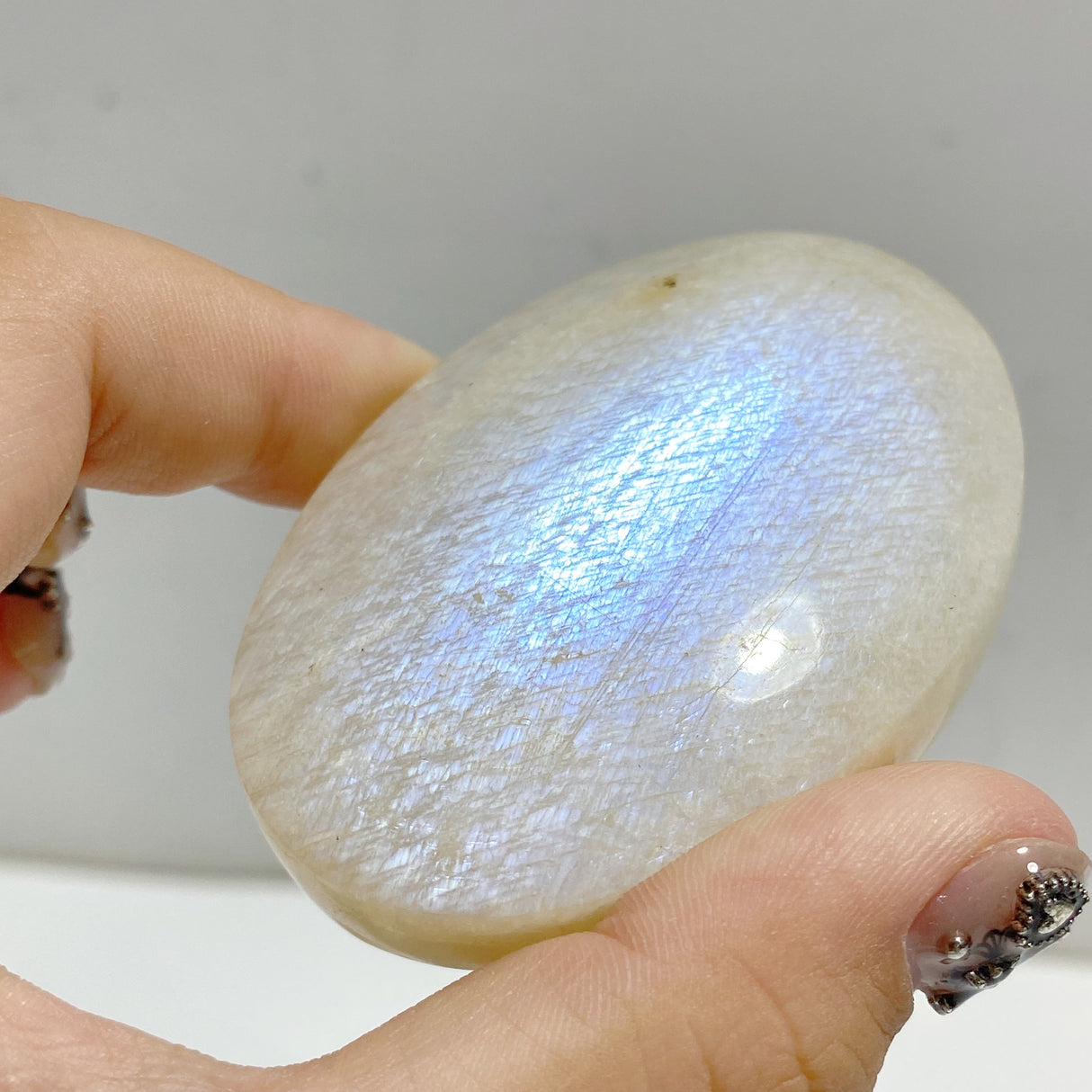 High Quality Moonstone Palm Wholesale