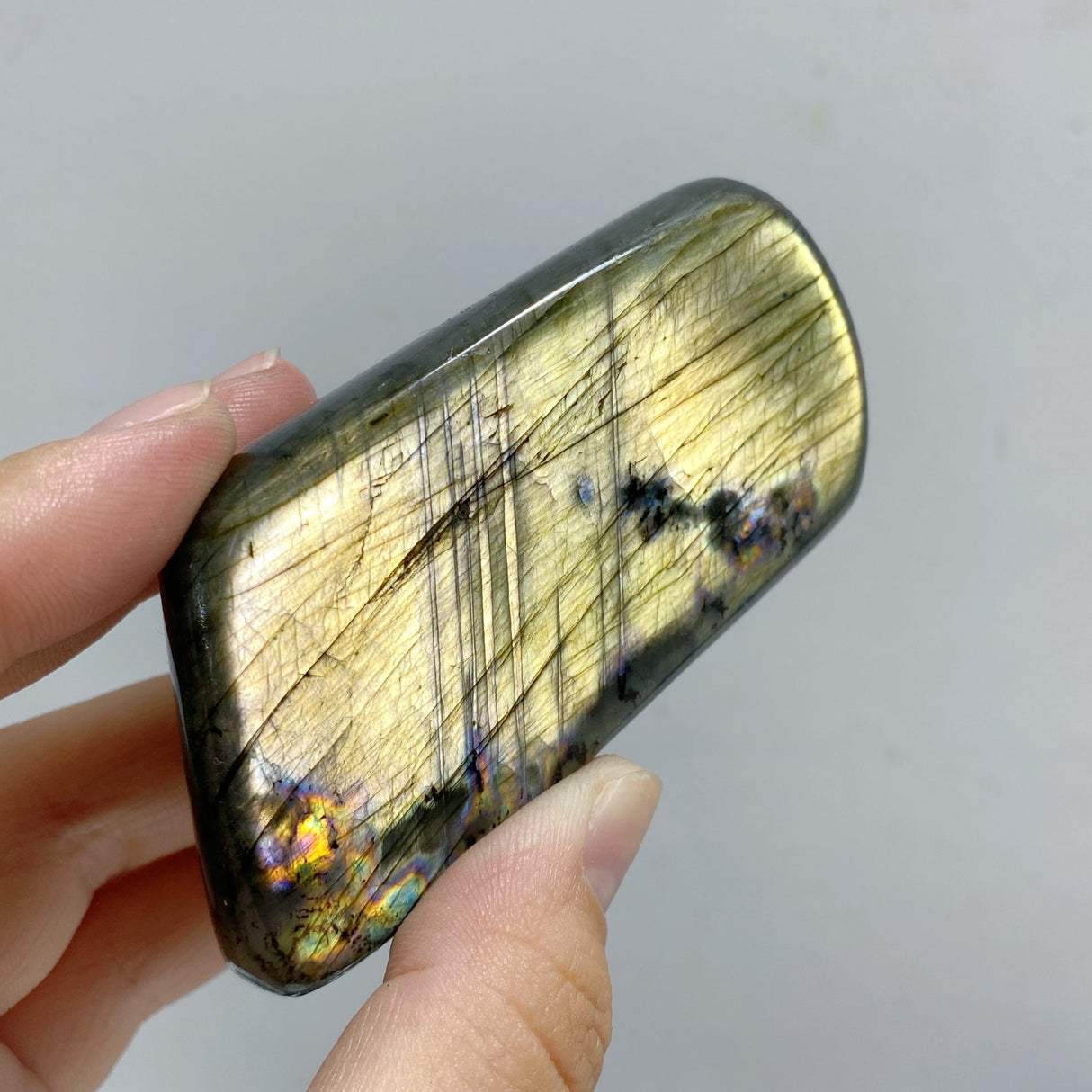 22 Pieces Polished Labradorite Free Form