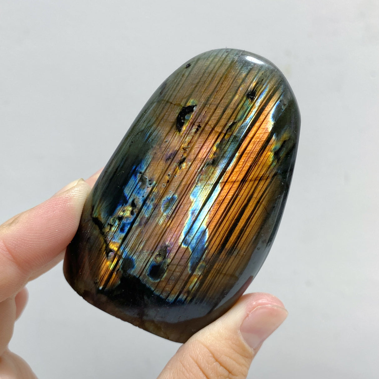 22 Pieces Polished Labradorite Free Form