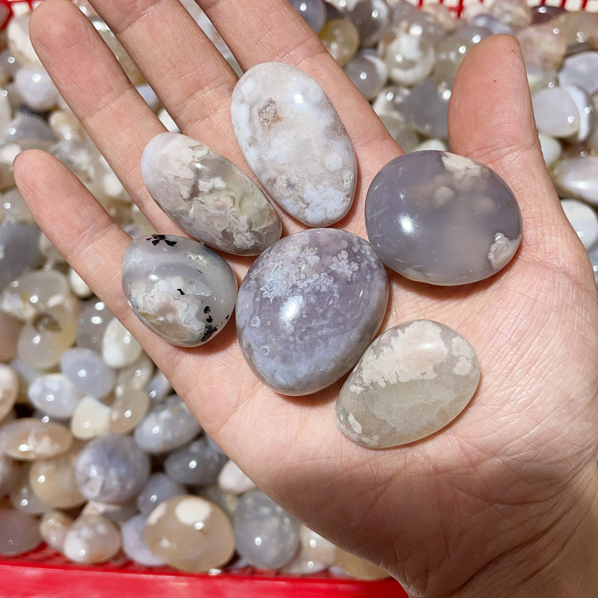 Sakura Flower Agate Tumbled Wholesale