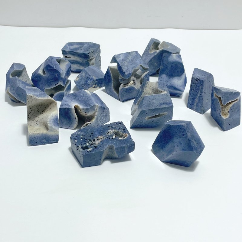 Blue Ridge Coral Free Form Heliopora Coerulea Wholesale - Wholesale Crystals