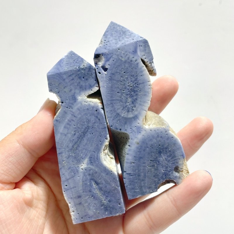 Blue Ridge Coral Heliopora Coerule Tower Point Wholesale - Wholesale Crystals