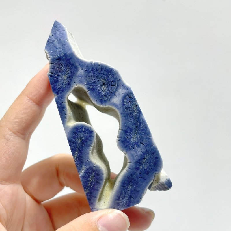 Blue Ridge Coral Heliopora Coerule Tower Point Wholesale - Wholesale Crystals