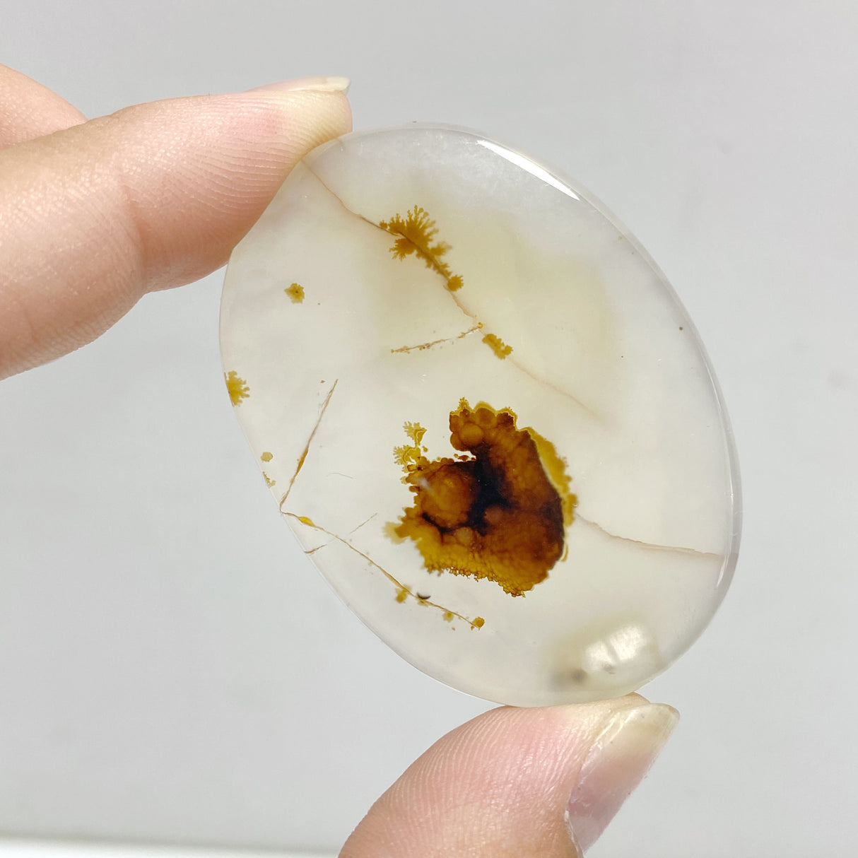 13 Pieces Natural Rare Scenic Dendritic Agate Stone