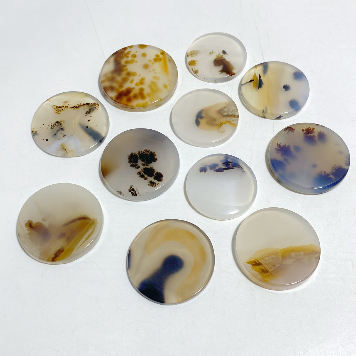 11 Pieces Natural Rare Scenic Dendritic Agate Stone