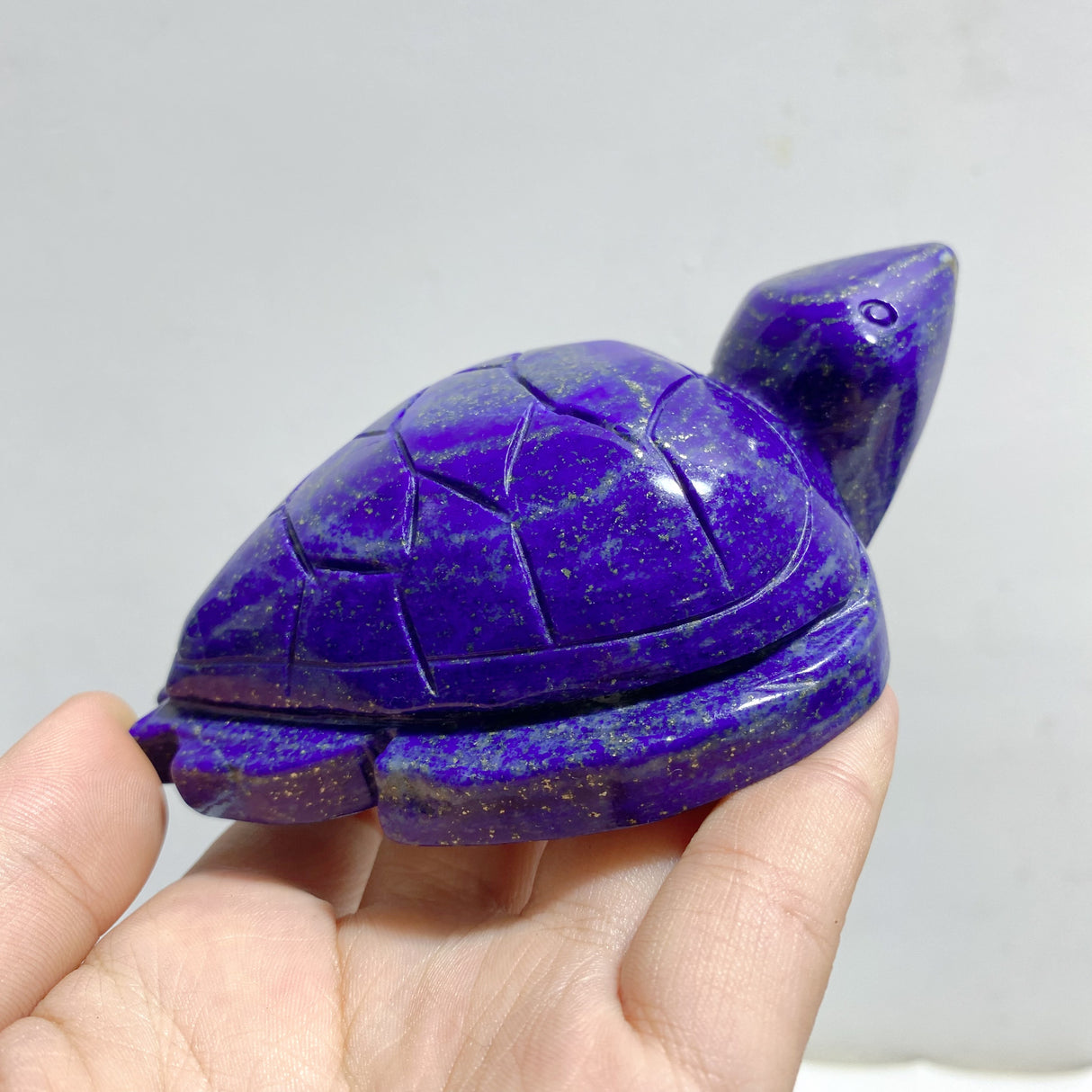 10 Pieces Lapis Lazuli Sea Turtles Carving