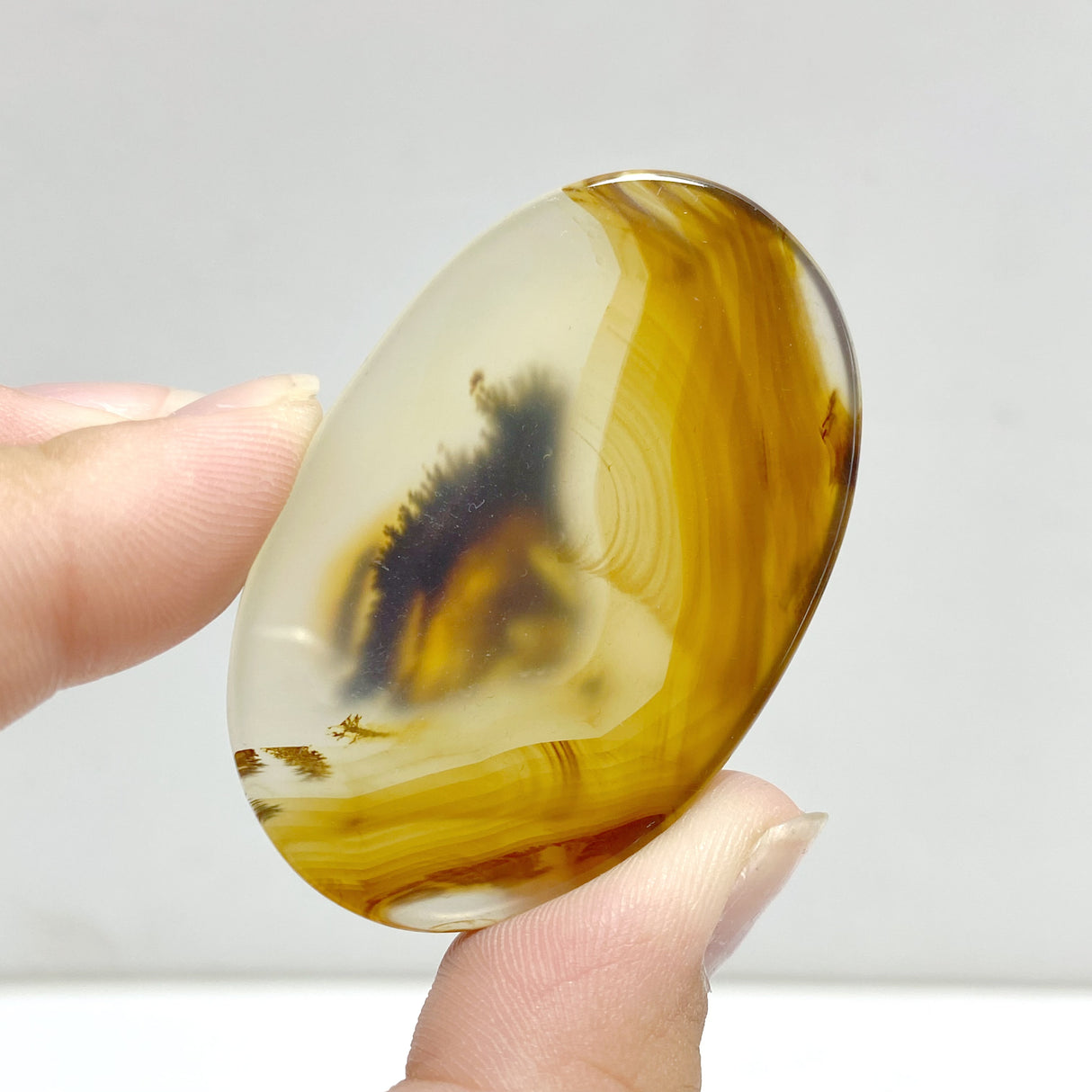 13 Pieces Natural Rare Scenic Dendritic Agate Stone