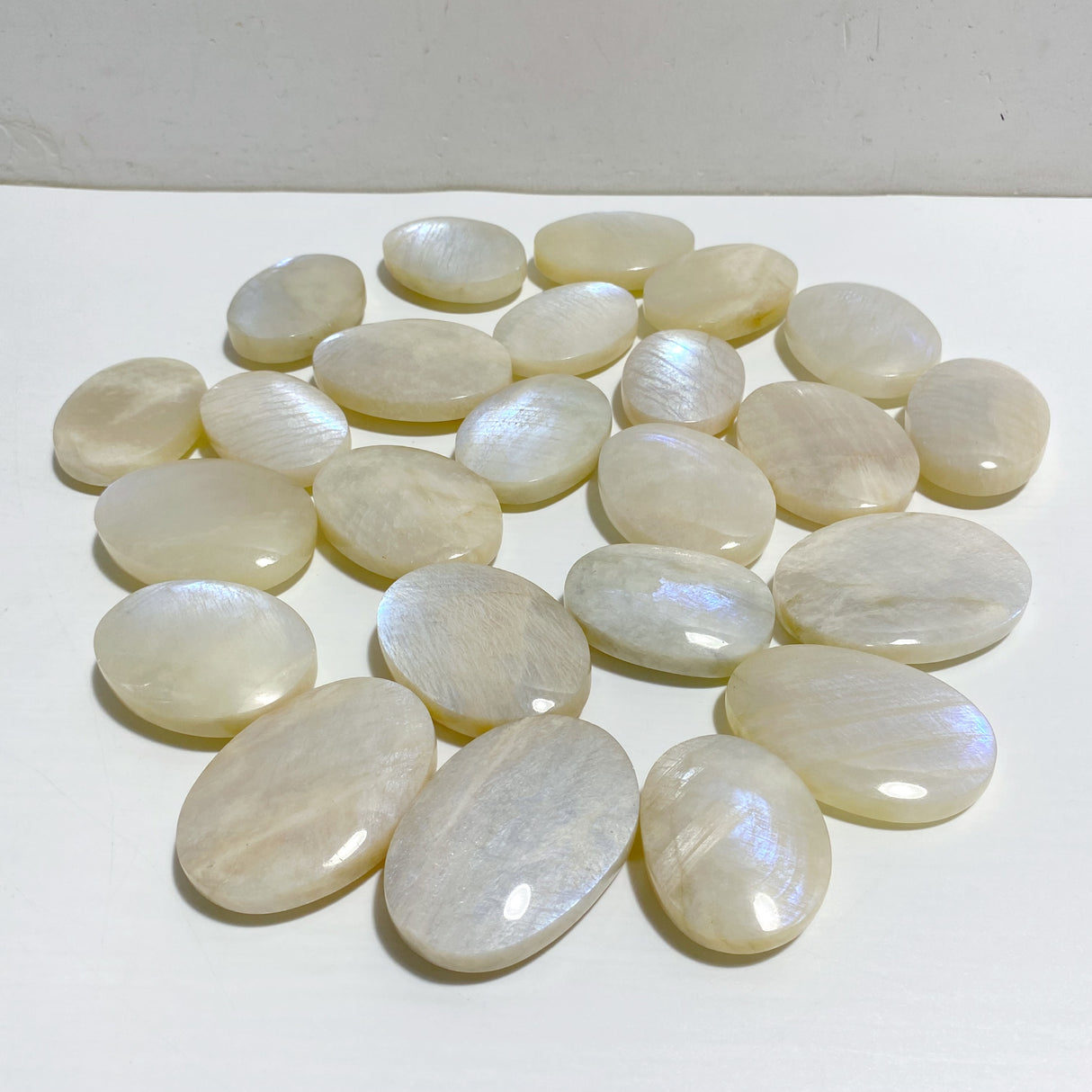 High Quality Moonstone Palm Wholesale