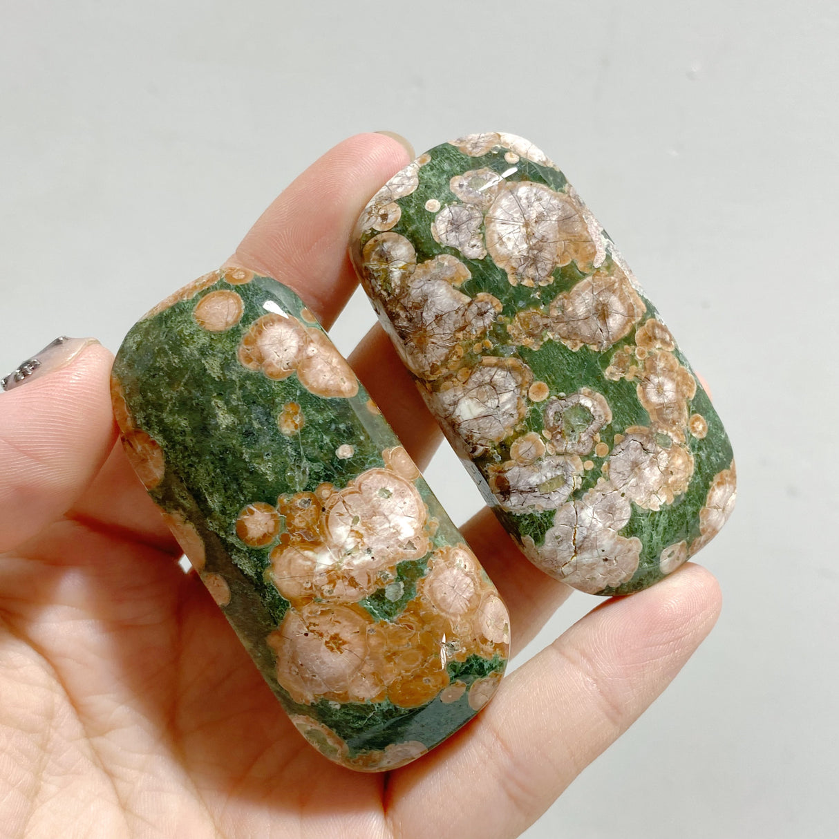 Rainforest Jasper Palm Stone Wholesale