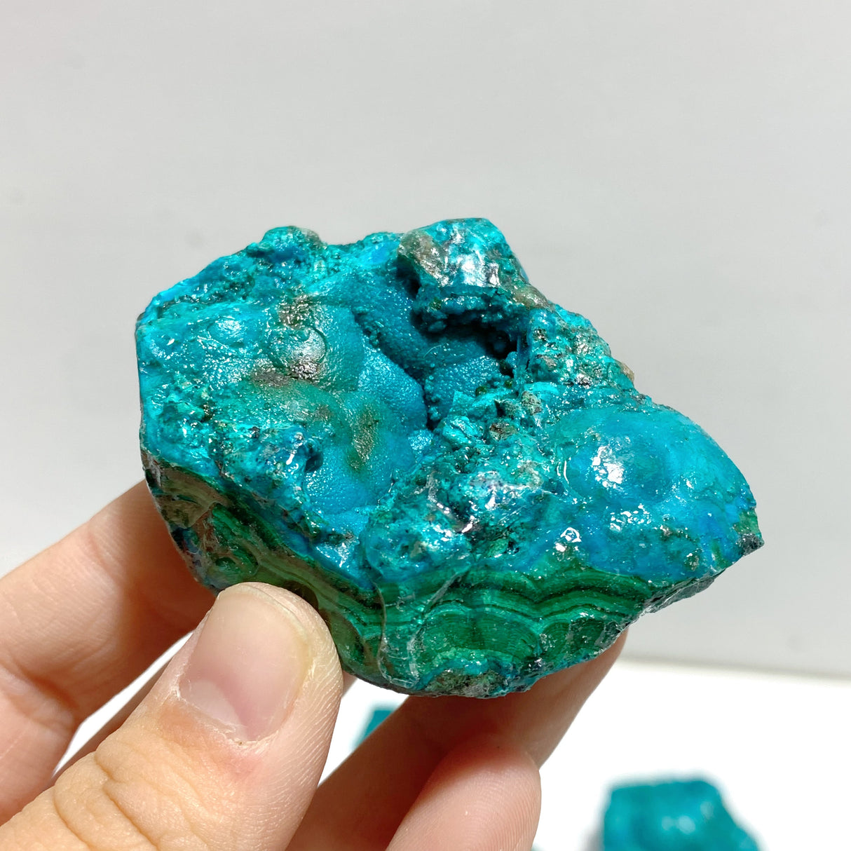31 Pieces Beautiful Raw Chrysocolla Mixed Malachite Specimen