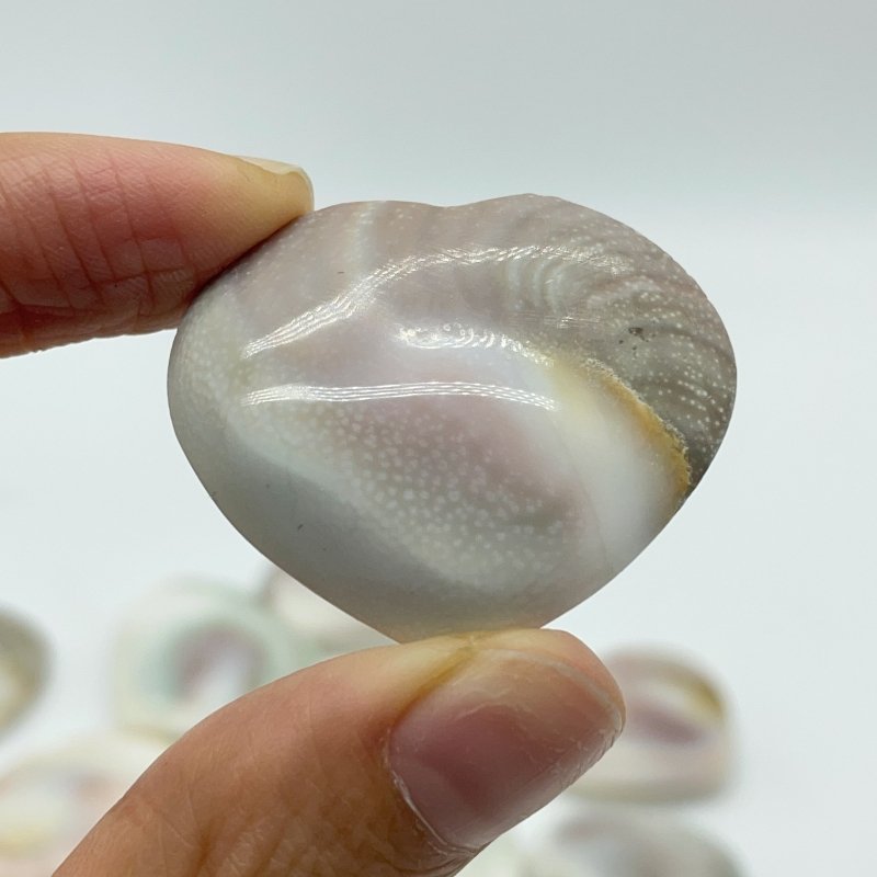Polished Shell Fossil Heart Wholesale -Wholesale Crystals