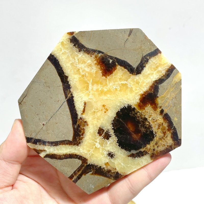 Septarian Slab Wholesale - Wholesale Crystals
