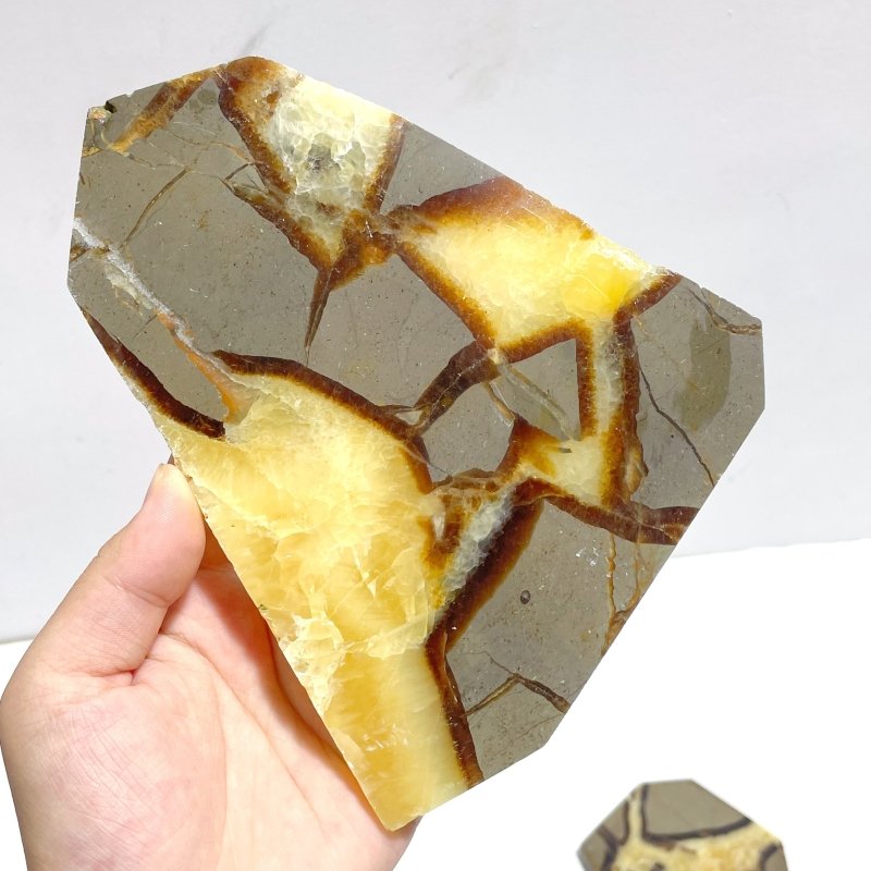 Septarian Slab Wholesale - Wholesale Crystals