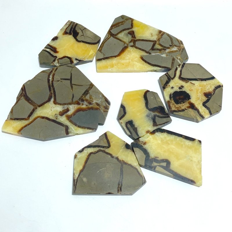 Septarian Slab Wholesale - Wholesale Crystals