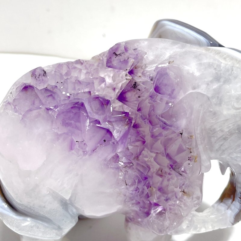 Unique Amethyst Mixed Geode Druzy Agate Elephant Animal Carving A19 - Wholesale Crystals