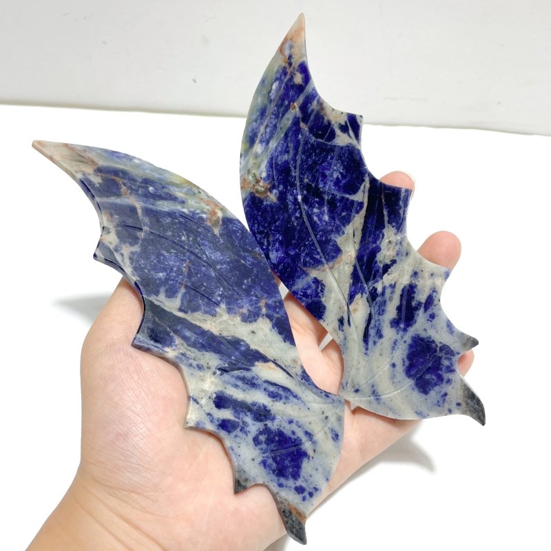 Unique Blue Sodalite Flying Dragon Wing Carving With Stand - Wholesale Crystals
