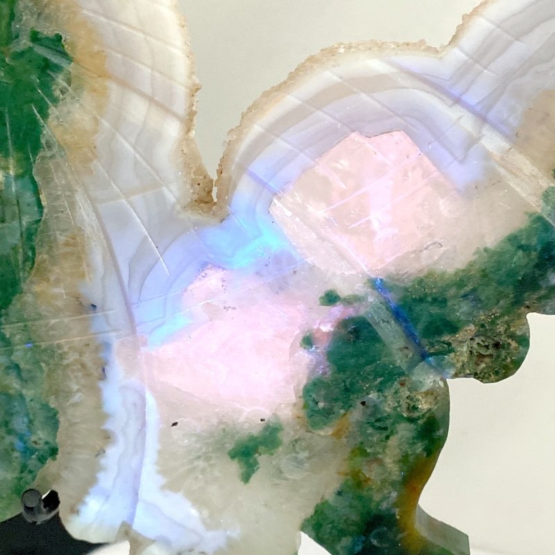 Very Large Geode Druzy Moss Agate Butterfly Wing Carving With Stand - Wholesale Crystals