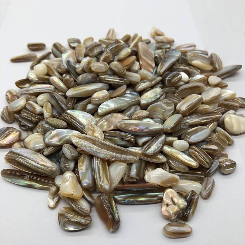 Rainbow shell conch fossil gravel stone -Wholesale Crystals