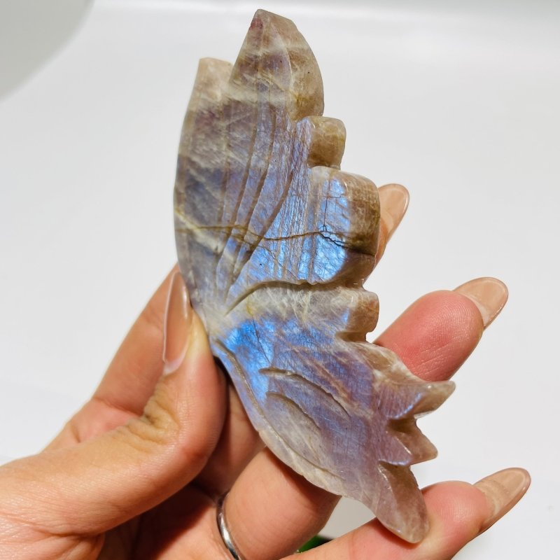 5 Pairs Butterfly Wing Carving With Stand Morocco Agate Moonstone - Wholesale Crystals