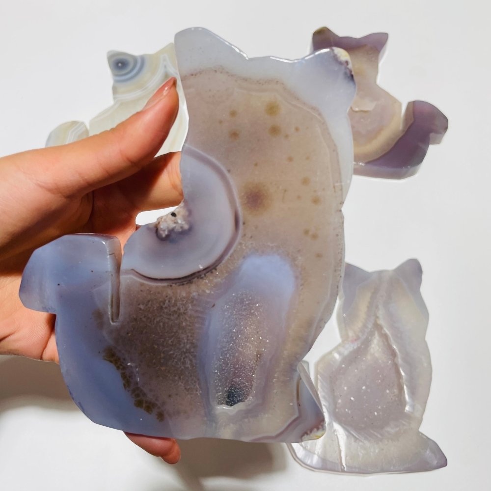 5 Pieces Geode Agate Druzy Cat Closeout -Wholesale Crystals