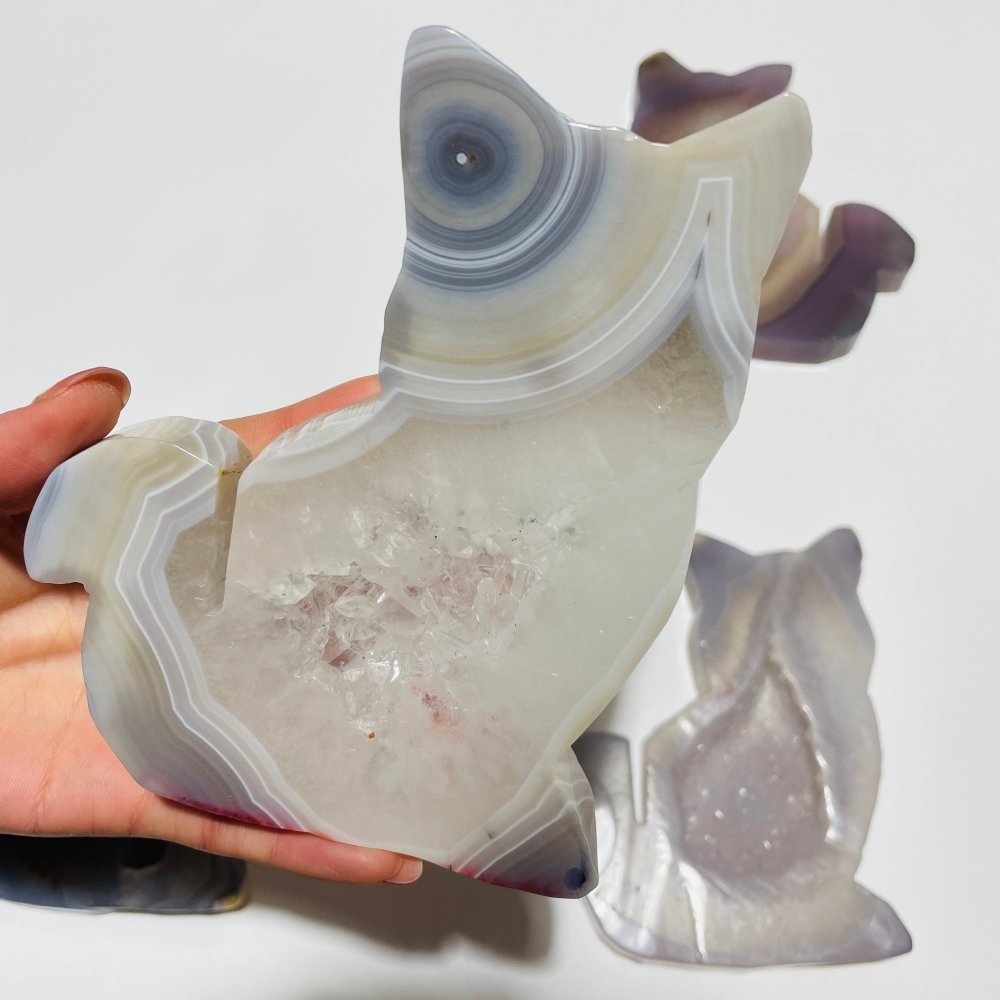 5 Pieces Geode Agate Druzy Cat Closeout -Wholesale Crystals