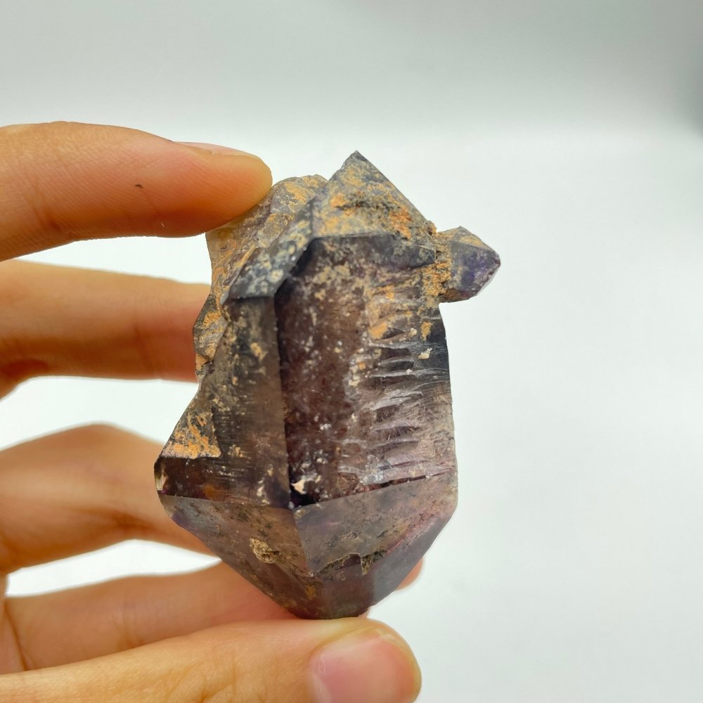 A10 Scepter Super7 Amethyst Enhydro Crystal -Wholesale Crystals