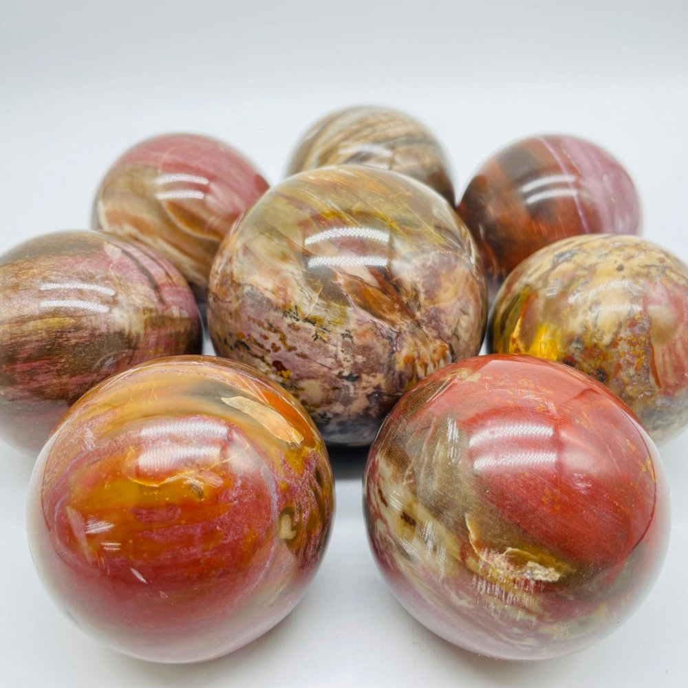 Petrified Wood Sphere Ball Wholesale -Wholesale Crystals