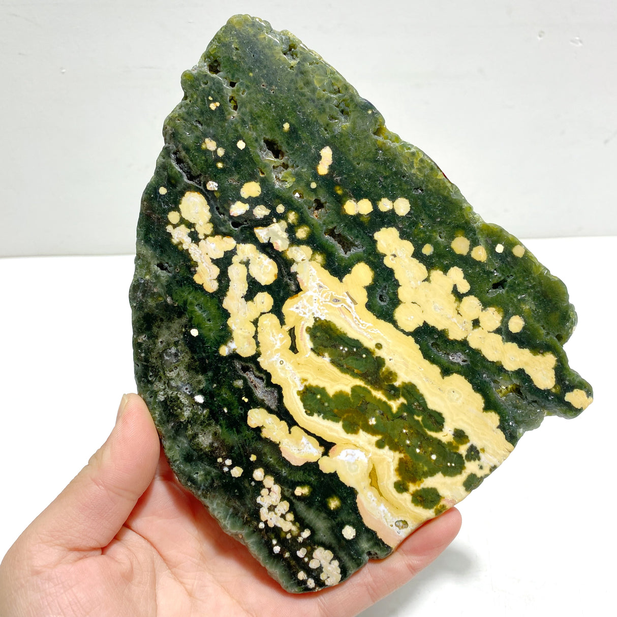 Unique 8th Vein Ocean Jasper Slab With Stand #5
