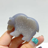 10 Pieces Beautiful Geode Druzy Agate Bear Carving - Wholesale Crystals