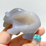 10 Pieces Beautiful Geode Druzy Agate Bear Carving - Wholesale Crystals