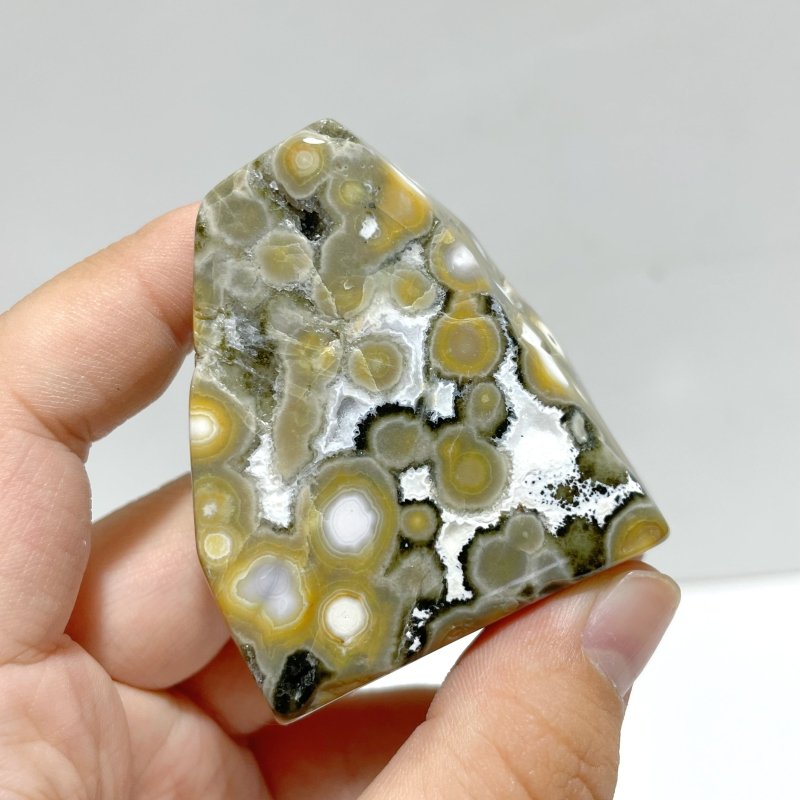 10 Pieces Big Circle 8th Vein Ocean Jasper Free Form - Wholesale Crystals