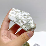 10 Pieces Big Circle 8th Vein Ocean Jasper Free Form - Wholesale Crystals