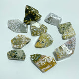 10 Pieces Big Circle 8th Vein Ocean Jasper Free Form - Wholesale Crystals