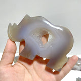 10 Pieces Geode Druzy Agate Rhino Carving - Wholesale Crystals