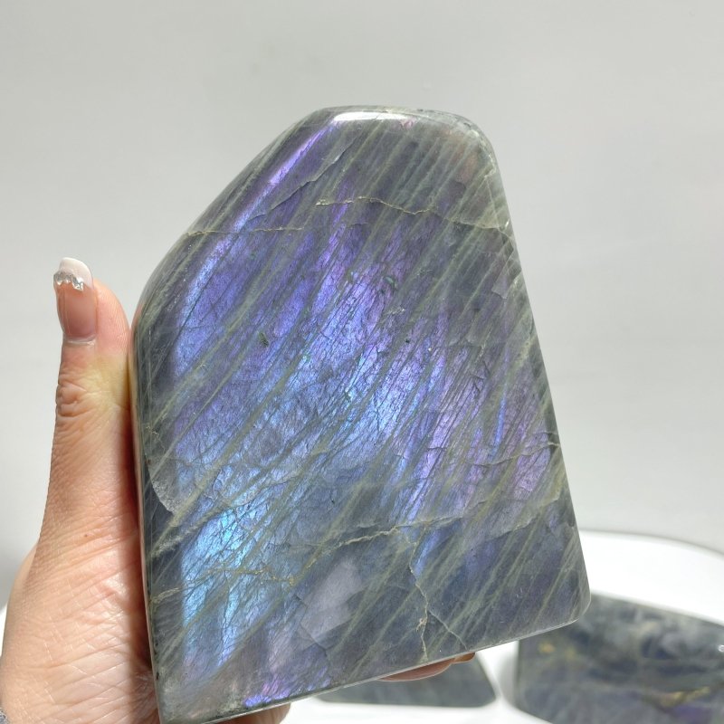 10 Pieces Large Purple Labradorite Free Form - Wholesale Crystals