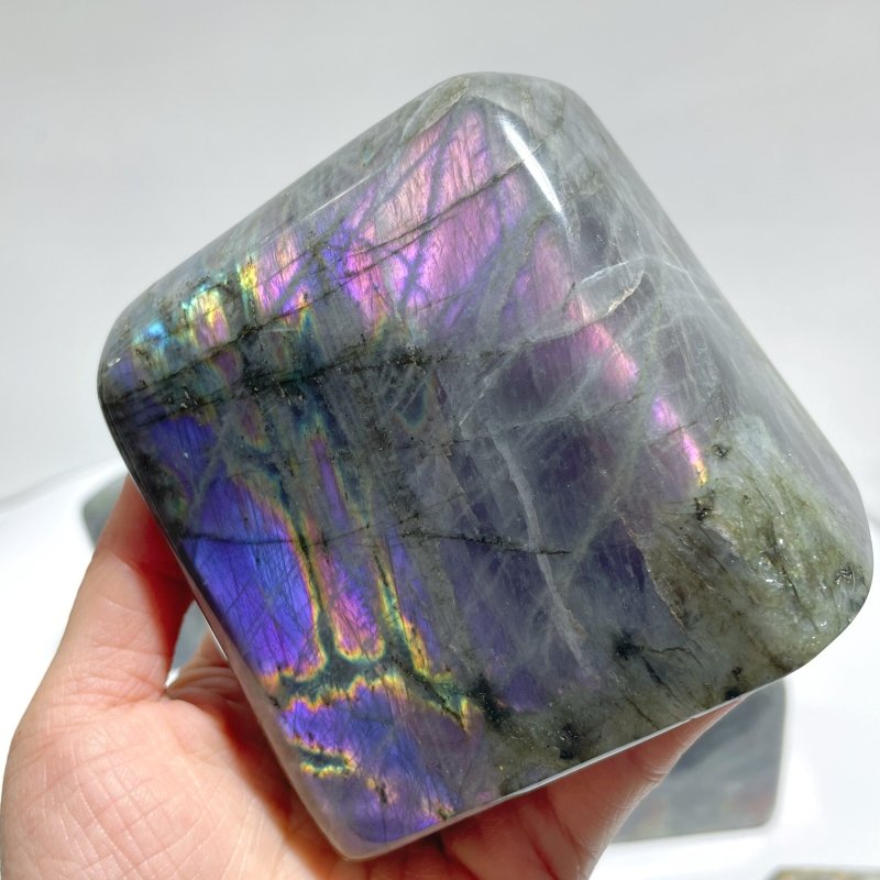 10 Pieces Large Purple Labradorite Free Form - Wholesale Crystals