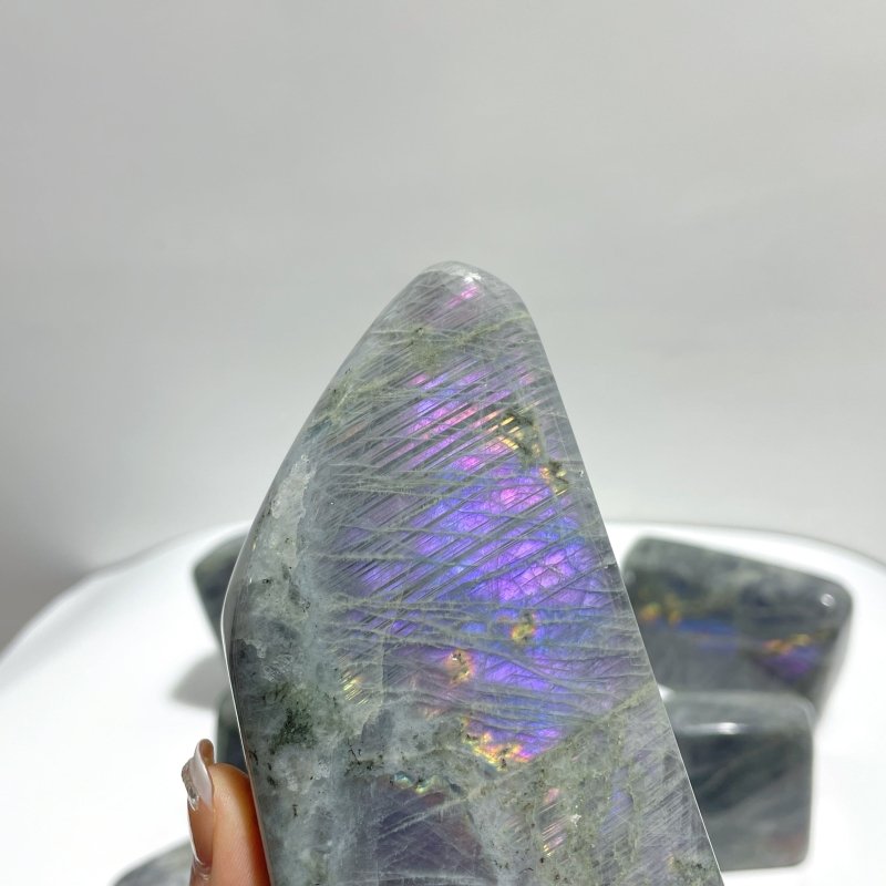 10 Pieces Large Purple Labradorite Free Form - Wholesale Crystals