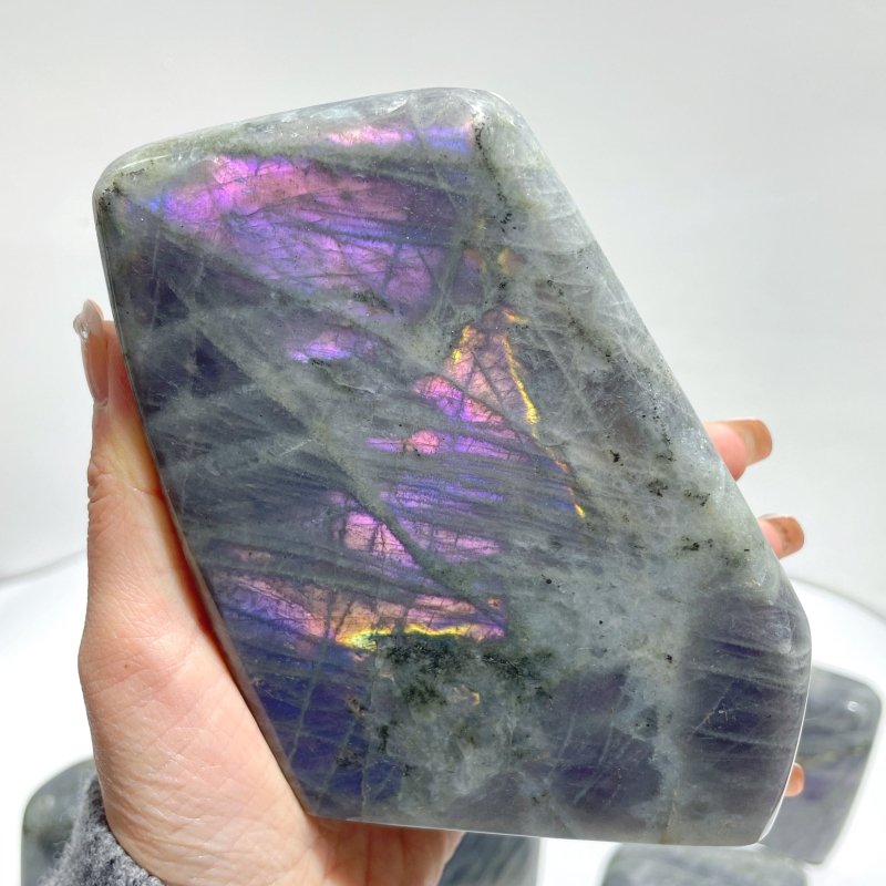 10 Pieces Large Purple Labradorite Free Form - Wholesale Crystals