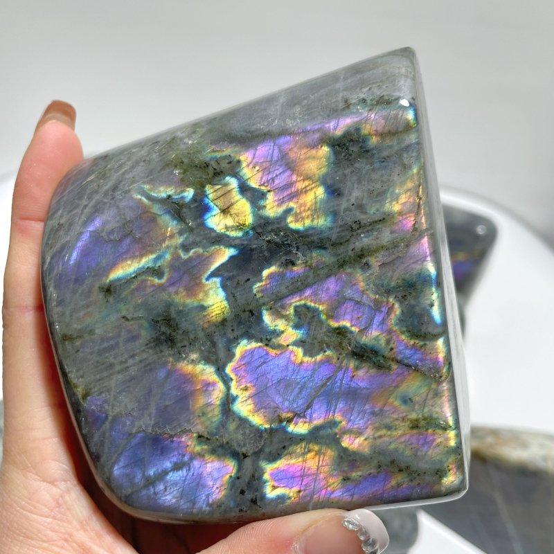 10 Pieces Large Purple Labradorite Free Form - Wholesale Crystals