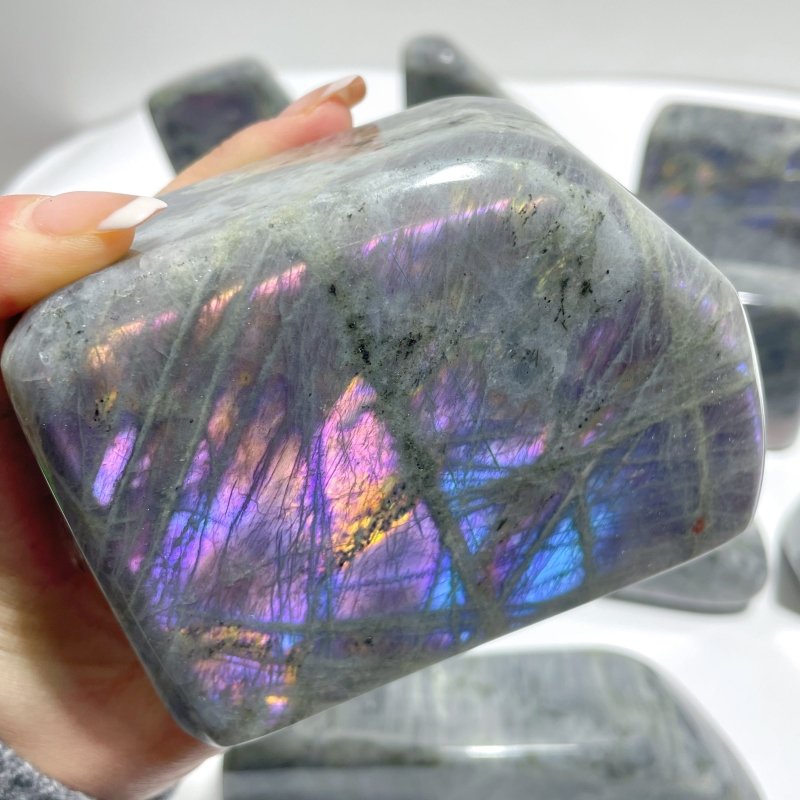 10 Pieces Large Purple Labradorite Free Form - Wholesale Crystals