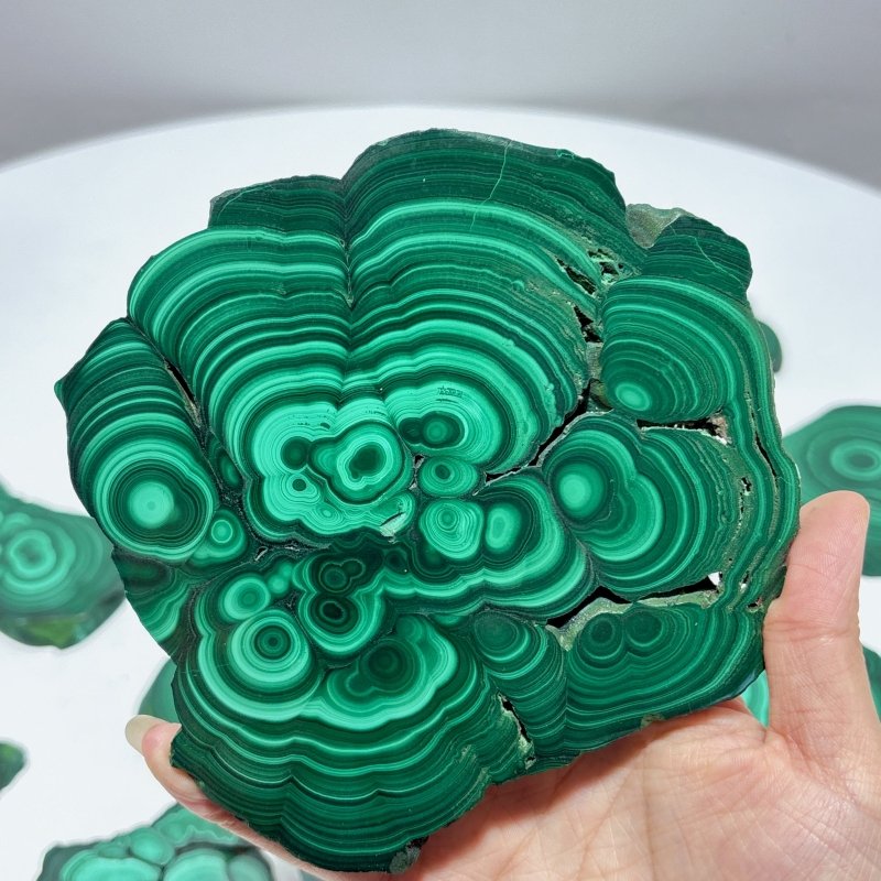 10 Pieces Polished Malachite Slab - Wholesale Crystals