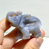 10 pieces Small Geode Agate Druzy Elephant Carving - Wholesale Crystals