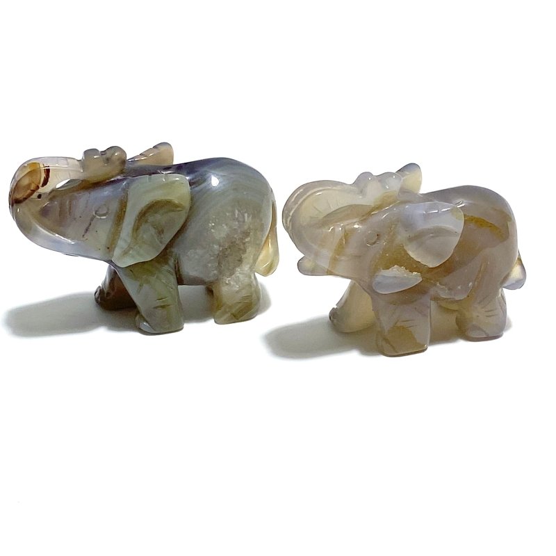 10 pieces Small Geode Agate Druzy Elephant Carving - Wholesale Crystals