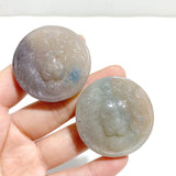 10 Pieces Trolleite Stone Lion Head Crystal Carving Closeout - Wholesale Crystals