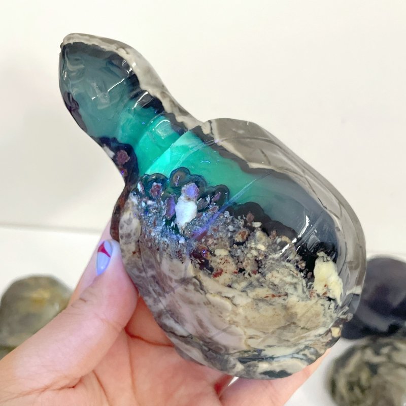 10 Pieces Volcano Agate Turtle Carving(UV - Reactive) - Wholesale Crystals